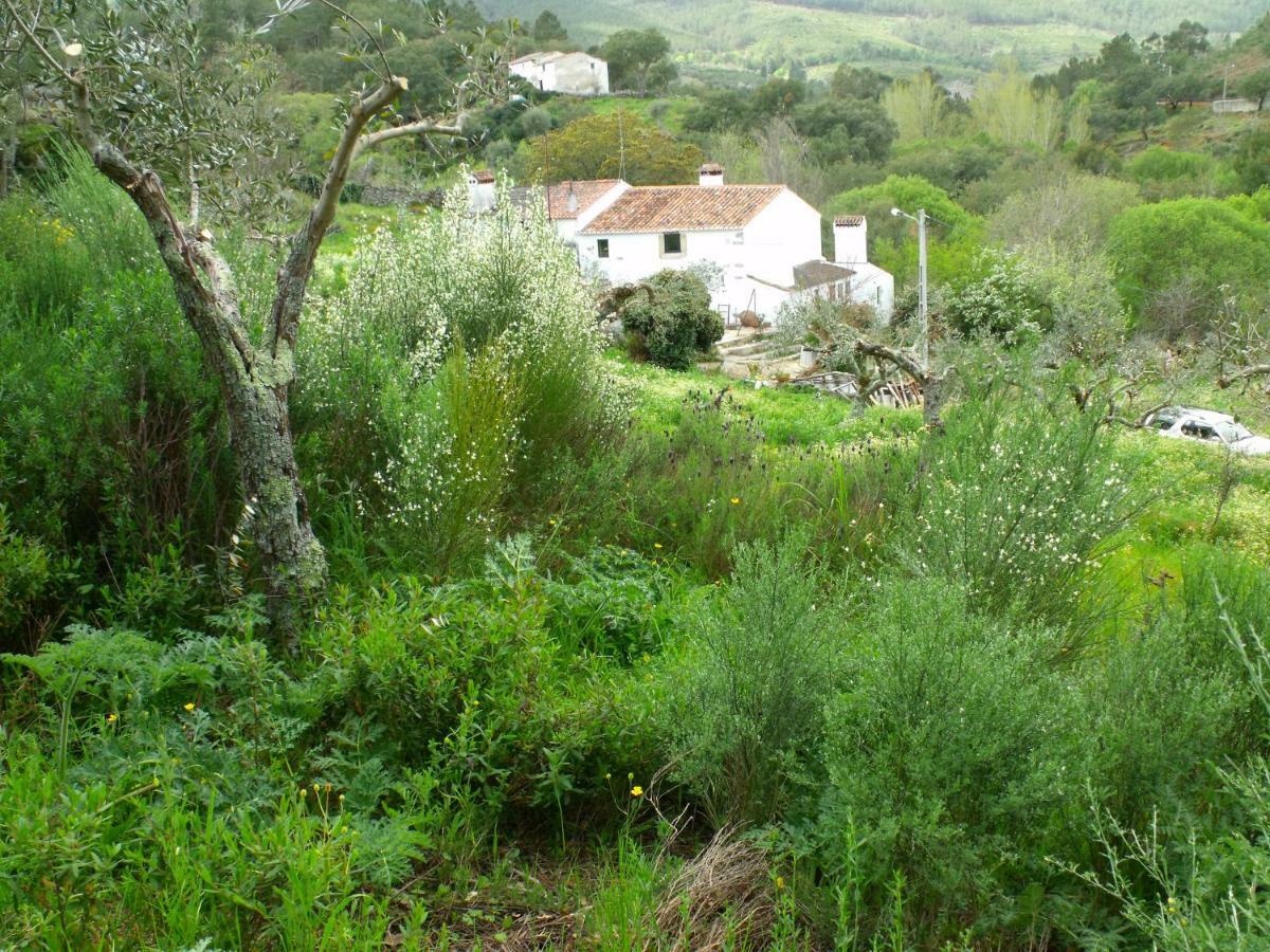 הוילה Marvão Terrafazbem מראה חיצוני תמונה
